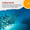 Barlean's Organic Oils Fresh Catch® Orange Flavor Fish Oil
