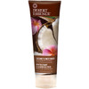 Desert Essence Coconut Shampoo & Conditioner Bundle - 8 Fl Ounce - Nourishing For Dry Hair - Delightful Scent - Refreshes Skin - Coconut Oil