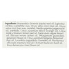 Eco-Dent Premium Dental Floss GentleFloss, Mint Flavored 100 yards (Pack of 5)