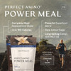 BodyHealth PerfectAmino Power Meal Shake New Dark Chocolate Flavor with MCT Oil Carb 10 and Perfect Amino Protein Base 20 Servings