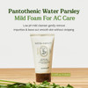 SKINFOOD Pantothenic Water Parsley Mild Foam, 5.07fl.oz (150ml), Vegan Low PH Pore Cleanser for AC/Blemish Prone Skin, Sebum & Oil & Pore Care
