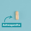 Dr Vegan Ashwagandha KSM-66 500mg Caps30s