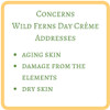 Wild Ferns Manuka Honey Protective Hydrating Moisturiser SPF30 75ml