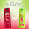 Garnier Fructis Color Shield Fortifying Shampoo 12.5 Oz
