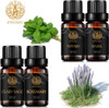 Aromatherapy Clary Sage Essential Oil Set for Diffuser, 100% Pure Thyme Essential Oils Kit for Humidifier, 4X10ml Therapeutic Grade Fresh Grassy Essential Oils Set-Clary Sage,Thyme,Rosemary,Basil Oil Aromatherapy Clary Sage Essential Oil Set for Diffuser, 100% Pure Thyme Essential Oils Kit for Humidifier, 4X10ml Therapeutic Grade Fresh Grassy Essential Oils Set-Clary Sage,Thyme,Rosemary,Basil Oil