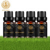 Aromatherapy Clary Sage Essential Oil Set for Diffuser, 100% Pure Thyme Essential Oils Kit for Humidifier, 4X10ml Therapeutic Grade Fresh Grassy Essential Oils Set-Clary Sage,Thyme,Rosemary,Basil Oil Aromatherapy Clary Sage Essential Oil Set for Diffuser, 100% Pure Thyme Essential Oils Kit for Humidifier, 4X10ml Therapeutic Grade Fresh Grassy Essential Oils Set-Clary Sage,Thyme,Rosemary,Basil Oil
