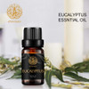 Aromatherapy Essential Oils, Eucalyptus Aromatherapy Essential Oils (0.33 oz - 10ml), 100% Pure Essential Oils Eucalyptus Scent for Diffuser, Humidifier, Massage, Aromatherapy, Skin & Hair Care