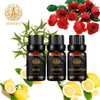 Aromatherapy Rose Essential Oil Set for Diffuser, 100% Pure Lemon Essential Oil Kit for Humidifier, 3x10ml Therapeutic Grade Eucalyptus Essential Oil Scent Set - Rose Lemon Eucalyptus Oil Kit for Home