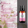 Clove Essential Oil 30ml (1oz) - 100% Pure Therapeutic Grade for Aromatherapy Diffuser, Massage, Skin Care