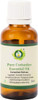 Coriander Essential Oil | Coriandrum Sativum | Coriander Oil | For Diffuser | Pure Coriander Oil | 100% Pure Natural | Steam Distilled | Therapeutic Grade | 10ml | 0.338oz By R V Essential
