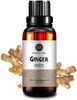 Ginger Essential Oil 30ml (1oz) - 100% Pure Therapeutic Grade for Aromatherapy Diffuser, Massage, Skin Care