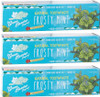 Green Beaver Fluoride free Natural Toothpaste 3-PACK (Frosty Mint)