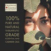 Greenwood Essential Pure Argan (Moroccan) Oil (Argania spinosa) 100% Natural Therapeutic Grade for Hair and Skin 15ml (0.50 oz)