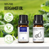 HIQILI Bergamot Essential Oil,Pure Natural Bergamot Oil for Skin Hair Diffuser Massage -15ml HIQILI Bergamot Essential Oil,Pure Natural Bergamot Oil for Skin Hair Diffuser Massage -15ml