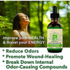 Liquid Chlorophyll Drops for Water, Vegan & Non-GMO, Energy Booster, Concentrate Liquid Drips