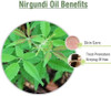 NIRGUNDI OIL 100% NATURAL PURE UNDILUTED UNCUT ESSENTIAL OIL 15ML by Salvia