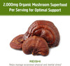 Om Reishi Mushroom 667mg 75 count