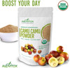 Organic Camu Camu Berry Powder | Naturally Energizing Immune Boosting Vitamin C, Antioxidants, And Proteins | Raw, Pure, Gluten Free, Vegan, Non GMO Peruvian Camu Camu Powder by Alovitox | 3.5 oz Bag