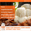 Organic Lions Mane Mushroom Capsules - Nootropic Brain Supplement for Strong Cognitive Support, Intense Focus, Memory Booster for Mental Clarity - Lions Mane Mushroom Supplement - Lion's Mane 90 Count