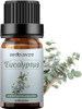 Peppermint + Eucalyptus Essential Oils For Aromatherapy, 100% Pure Premium Eucalyptus Massage Oils - Peppermint Essential Oils Set Peppermint Essential Oils For Diffuser, Massage, Skin - 2*10ML Essential Oil