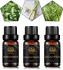 Peppermint Eucalyptus Lemongrass Essential Oil - 100% Pure Peppermint Eucalyptus Lemongrass Organic Aromatherapy Oil 10mL/0.33oz