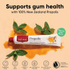 Red Seal Propolis Herbal & Mineral Natural Toothpaste - Mild Mint - Fluoride Free Organic Toothpaste NATRUE Certified Natural - Natural Gum Health No Artificial Flavors Cruelty-Free 3.53 oz