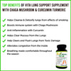 Top Lung Support Supplement for Lung Cleanse and Detox, Respiratory Supplement, Immune System Booster with Chaga Mushroom, Curcumin Turmeric, Honeysuckle Flower, Pomegranate