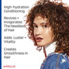 ARROJO Moisturizing Hair Conditioner Conditioner for Dry Hair to Add Luster & Moisture  Rich Coconut Conditioner w/Vitamin B5 - Delicately Scented Moisturizing Conditioner