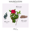 Mauboussin Elixir Pour Elle Eau De Parfum Spray for Women 100 ml