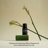 Vitruvi Organic Peppermint, 100% Pure Premium Essential Oil (0.3 fl.oz)