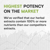 Secrets of the Tribe Andrographis Alcohol-Free Liquid Extract, Andrographis (Fah talai jone, Chuan Xin Lian, Andrographis paniculata) Tincture Supplement (4 FL OZ)