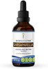 Secrets of the Tribe Sarsaparilla Alcohol-Free Tincture Extract, Sarsaparilla (Hemidesmus indicus) Dried Root (4 fl oz)