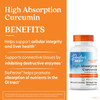 Doctor's Best High Absorption Curcumin 500 mg 120 Capsules