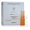 Sesderma Hidroquin Ampoules