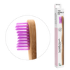 The Humble Co . Humble Brush Adults Purple Medium Toothbrush