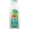 JASON Intense Moisture Aloe Vera + Prickly Pear Shampoo - 473ml