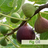 B-URBAN Fig Oil | Pure And Natural Fig Oil With Dropper | High Concentration Of Vitamin E |Skin Care (Moisturize, Nourish, Rejuve