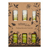 Urban Veda Purifying Complete Discovery Travel Set
