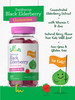 Elderberry Gummies For Kids | 120 Count | Zinc And Vitamin C | Natural Berry Flavor | Vegan, Non-Gmo, And Gluten Free | By Lil' S