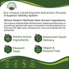 Usda Organic Lemon Balm Tincture. Liquid Organic Lemon Balm Oil Drops Supplement For Relaxation, Calm, Digestion. Vegan Leaf Extr