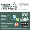 Flora Biome - Live Probiotic, Prebiotic & Postbiotic – Organic Live-Culture – 10 Probiotic Strains, 19 Fermented Herbs, 50 Billio
