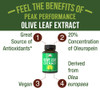 Olive Leaf Extract Capsules. Pure High Strength In Vegan Capsules With 20% Oleuropein, High Antioxidants. Supports Optimal Immune