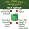 Organic Reishi Mushroom Powder - Usa Grown Made With Organic Reishi Mushrooms. Vegan Supplement For Immunity Support. Naturally