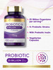 Carlyle Probiotics 25 Billion Cfu | With Prebiotics | 100 Capsules | Vegetarian, Non-Gmo, & Gluten Free Supplement | For Men & Wo