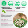 Vinatura Spearmint Leaf Capsules Supplement - 1380Mg/Serving, Enhanced With Dim & Saw Palmetto, For Unwanted Hair, Women' Health