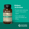 Nature'S Sunshine Kidney Activator Capsules, 100 Capsules | Natural Kidney Supplement Contains Herbs To Support And Enhance Kidne