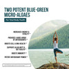 Organic Spirulina & Chlorella Tablets – 4 Organic Certifications, Raw, Non-Irradiated – 50/50 Blue Green Algae Blend – Antioxidan