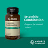 Nature'S Sunshine Artemisia Combination, 100 Caps, Kosher