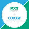 Rootcology P5P - Active Vitamin B6 To Support Balanced Mood And Healthy Response To Stress (120 Capsules)