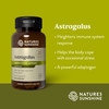 Nature'S Sunshine Astragalus, 100 Caps, Kosher